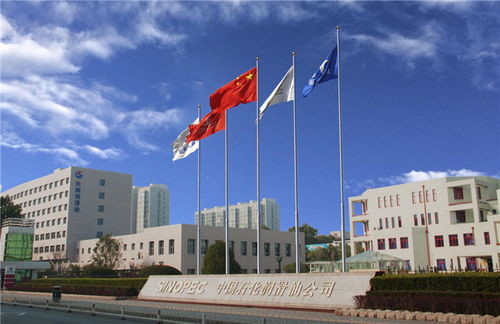 中國(guó)石化長(zhǎng)城潤(rùn)滑油榮獲國(guó)際首批全球最高標(biāo)準(zhǔn)汽油機(jī)油認(rèn)證，引領(lǐng)潤(rùn)滑油零售新標(biāo)桿